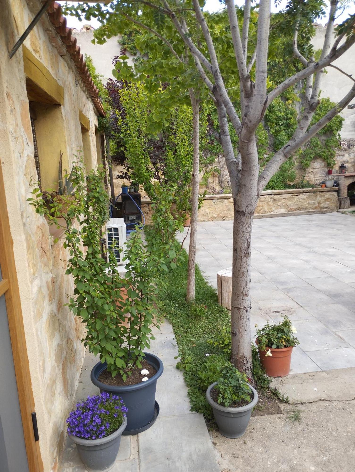 Casa Rural El Olivo Puigmoreno Екстериор снимка
